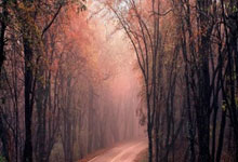 C7娱乐：韩佳奇社媒：本赛季工体第一场，有些遗憾没能拿下对手.