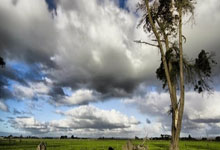 一共4亿!足协3年前已归还广州队1亿调节费,剩下的3亿不会再还了.