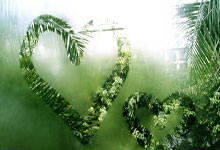 串联全队!赵继伟半场8投3中得9分2板8助 正负值+19领跑全场.