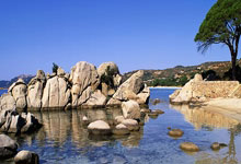 C7娱乐：中超-客场两球胜云南玉昆 北京国安收获开门红.